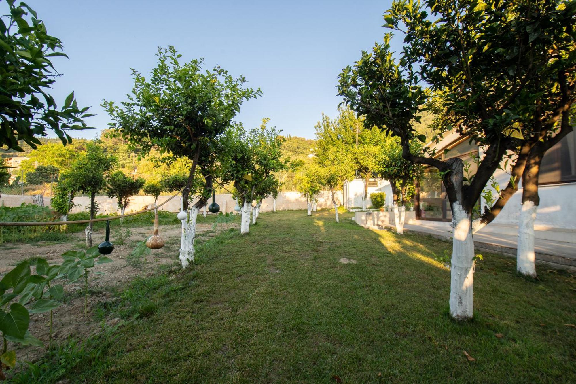 To Ktimataki Agios Gordios (Corfu) Exterior foto